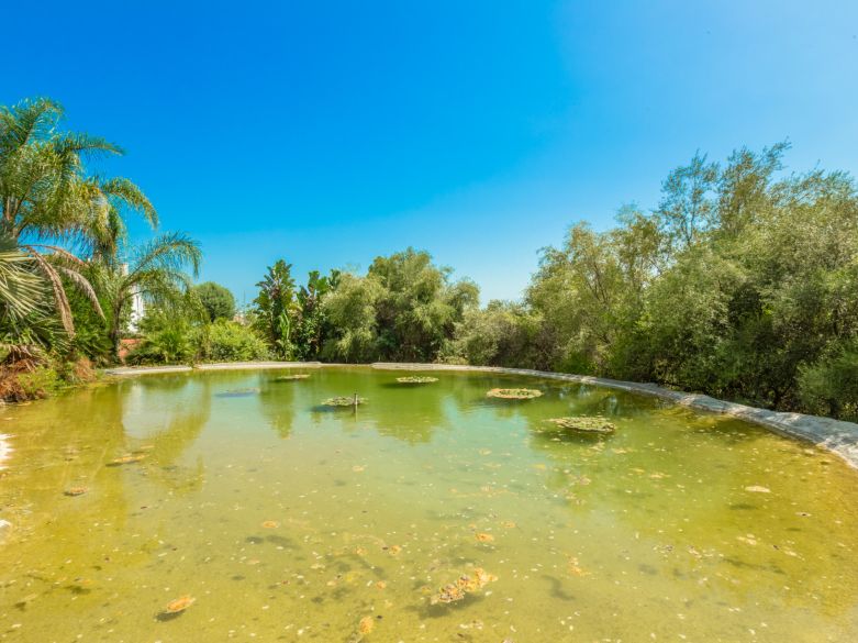 Parklike estate with 4 buildings on 19.000 sq. meters plot in Los Picos, next to Sierra Blanca