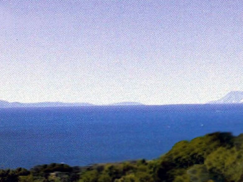 Amplio Terreno Rústico Cerca de Estepona y la Nueva Milla de Oro