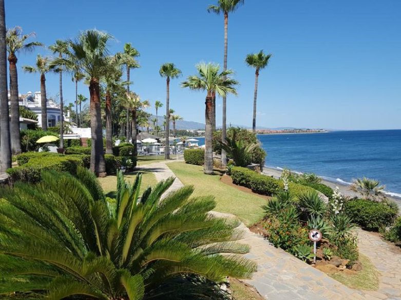 Amplio Terreno Rústico Cerca de Estepona y la Nueva Milla de Oro