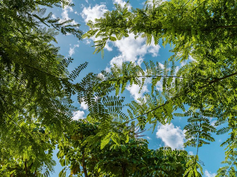 Ático Dúplex de Lujo en Lomas del Rey – Vida Moderna en la Milla de Oro de Marbella