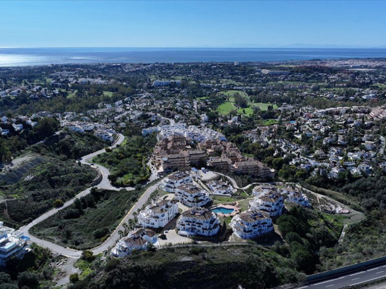 Unlived. Refurbished. Exceptional – Aloha’s Best Kept Secret