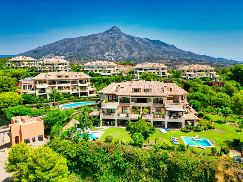 Panoramic Luxury Above Aloha – Stunning South-West Apartment