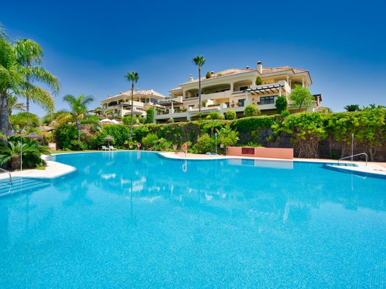 Panoramic Luxury Above Aloha – Stunning South-West Apartment