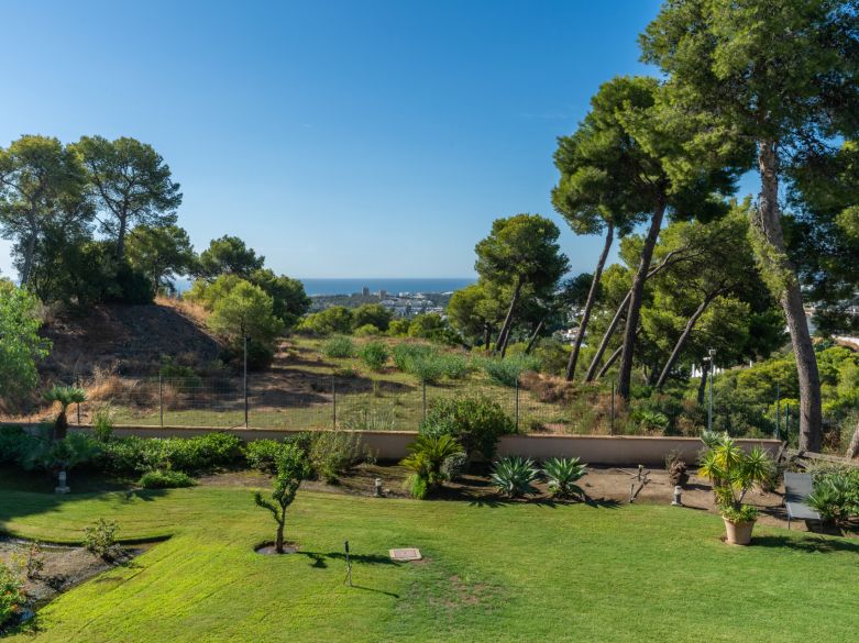 Panoramic Luxury Above Aloha – Stunning South-West Apartment