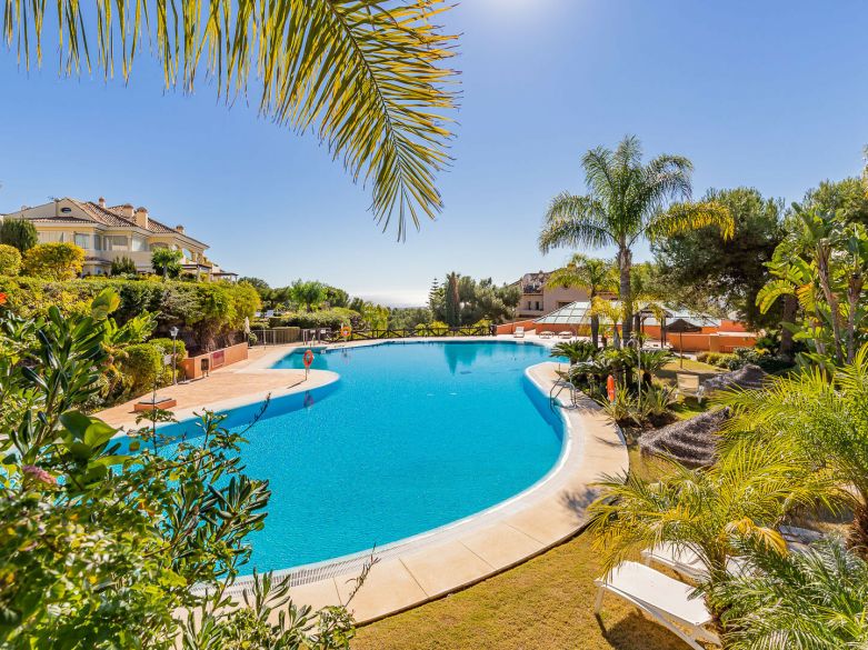 Panoramic Luxury Above Aloha – Stunning South-West Apartment